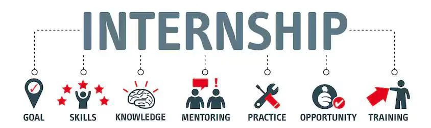 internship in chennai - nif global